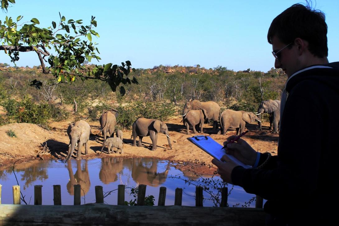 Projects Abroad Conservation volunteer, Philipp from Denmark , takes part in an elephant identification activity at the Wild at Tuli placement in Botswana