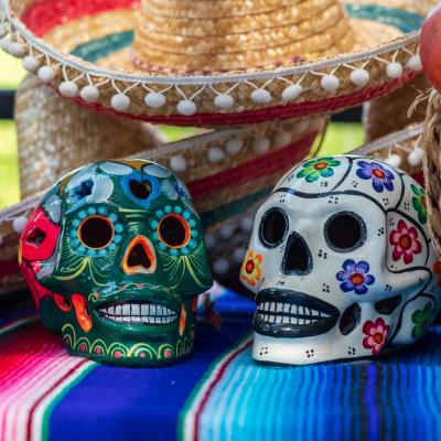 Learn a language in Mexico
