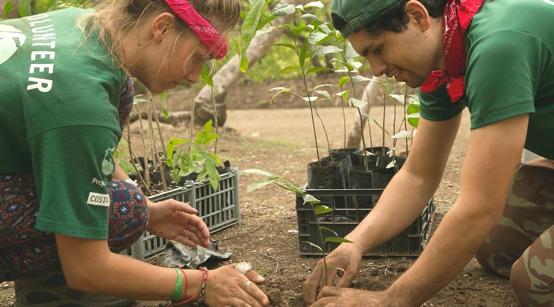 Conservation volunteers and staff help with reforestation as part of our flexible volunteer projects abroad.