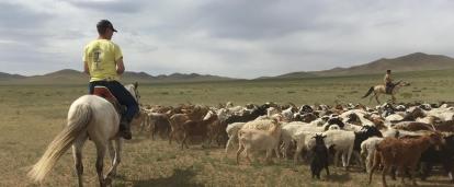 Culture and Community Volunteers live and work with Nomads in Mongolia whilst riding horses to herd cattle.