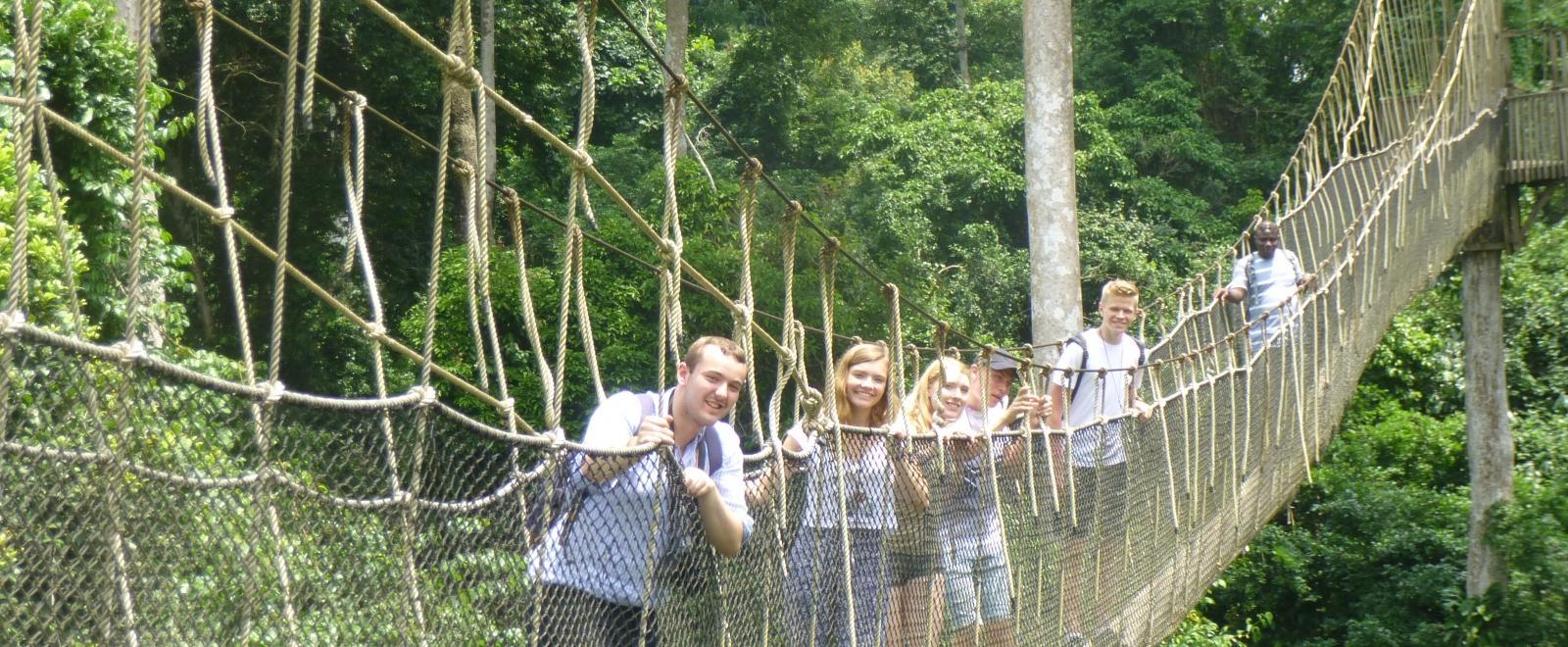 Projects Abroad volunteers enjoy a fun canopy walk in a forest in ghana.