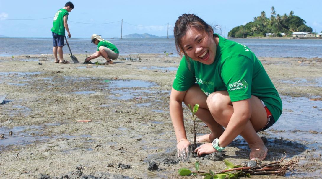Projects Abroad volunteers replanting mangroves on their Fiji Marine Conservation Project 