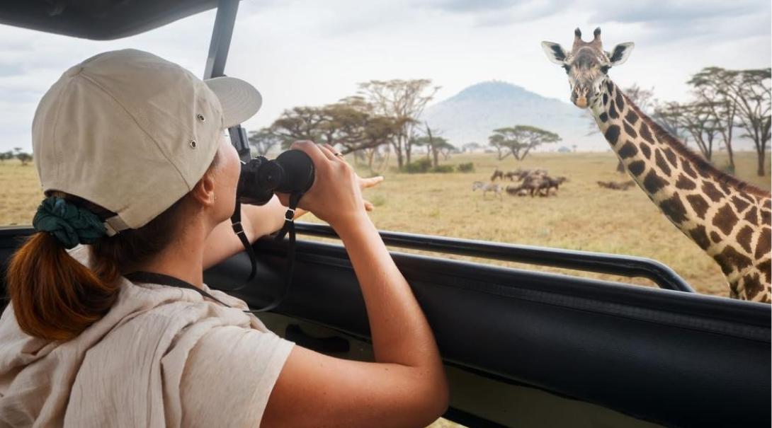 A volunteer surveying wildlife in Kenya