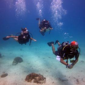 Volunteer in Thailand to protect marine life