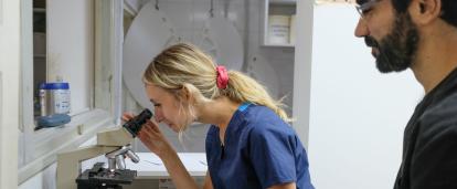 A Veterinary Medicine intern examines a sample under a microscope at an animal clinic in Argentina.