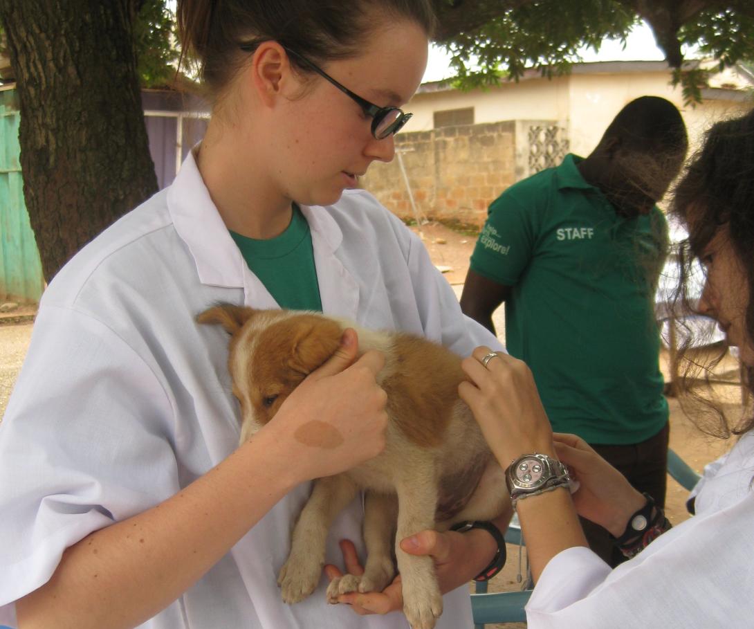 Two Veterinary Medicine interns examine a puppy during an outreach in rural Ghana.